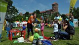 Pikniki, festiwale i imprezy. Sprawdź, co przygotowały dzielnice Krakowa na ten rok