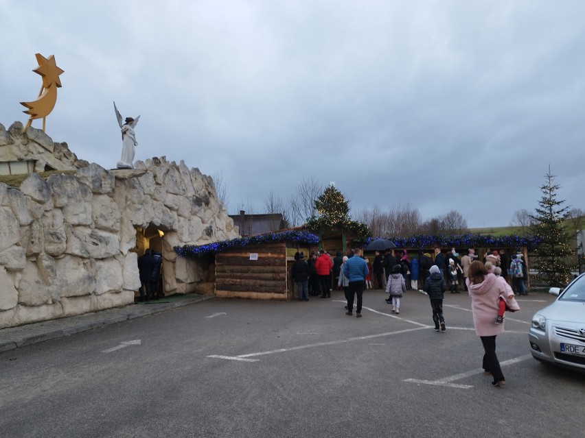 Wielbłąd atrakcją żywej szopki przy Sanktuarium Dzieciątka Jezus w Jodłowej. W Podkarpackim Betlejem trwa wielki odpust 