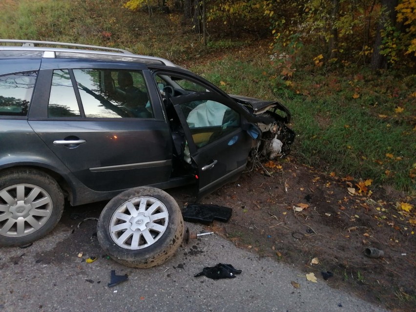 Kruklanki. Wypadek w powiecie giżyckim. Kobieta uderzyła w drzewo, bo tak jej wskazała nawigacja [ZDJĘCIA]