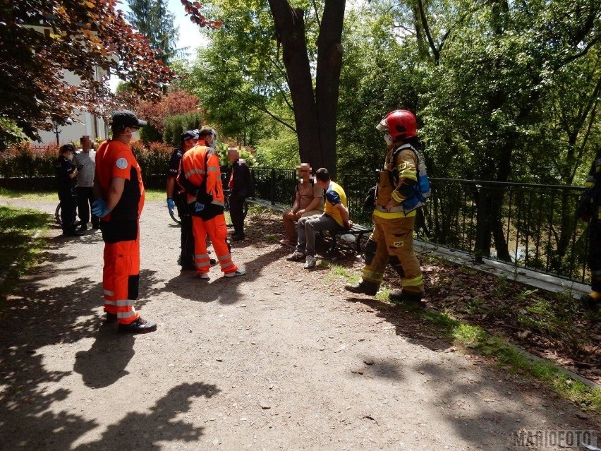 Bójka bezdomnych nad Młynówką w Opolu. Interweniowali...