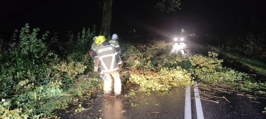 Silny wiatr w Wielkopolsce. Około 150 interwencji strażaków. Zgłoszenia wciąż napływają. Wichury przeszły też przez inne regiony Polski