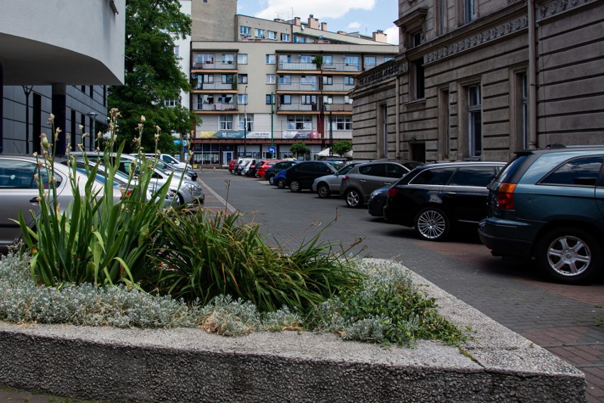 Na Górce Środulskiej ma powstać Zagłębiowski Park Sportowy....