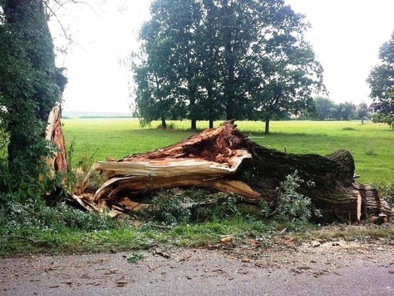 Pow. ostrowski: burza dokonała wielu zniszczeń [ZDJĘCIA]