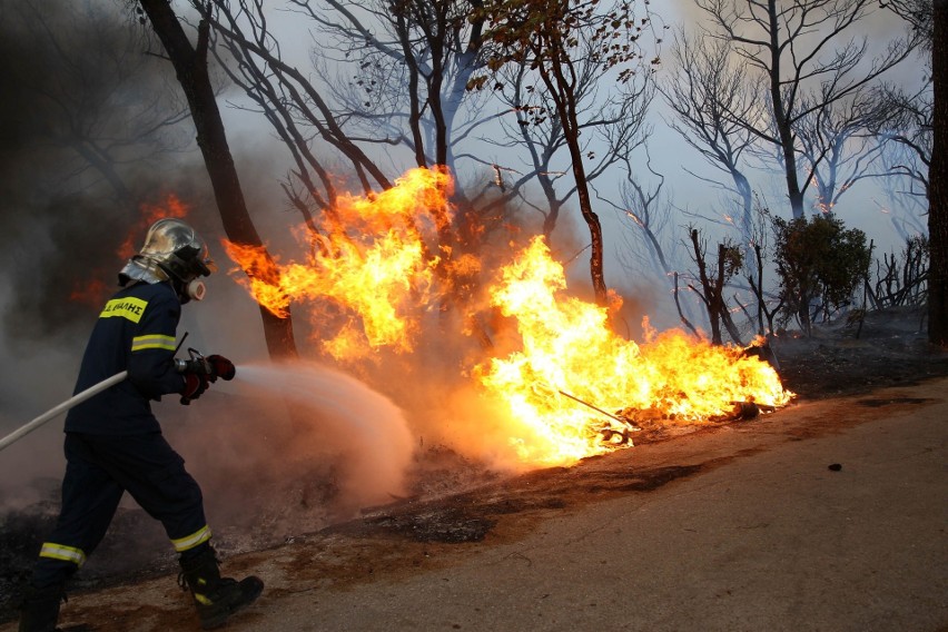 Pożary w Grecji: Ewakuacja ludzi na wyspie Evia i próba ratowania narodowych skarbów w Olimpii, kłęby dymu otaczają Ateny [ZDJĘCIA] [WIDEO]