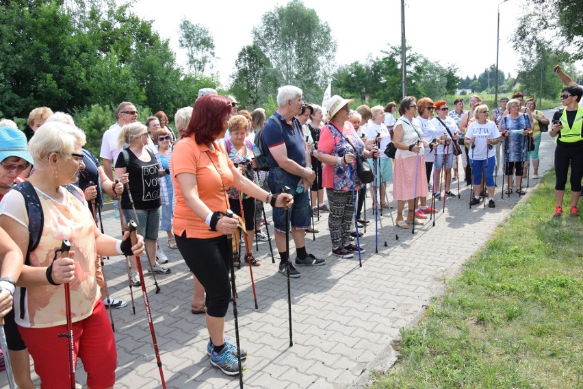 Marsz nordic walking w Zawierciu