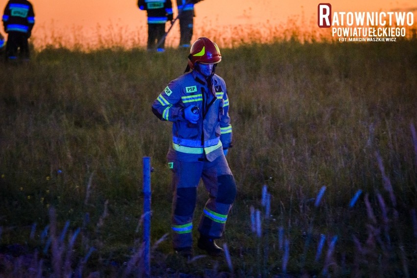 Orzechowo. Mężczyzna został stratowany przez bydło. Zginął na miejscu