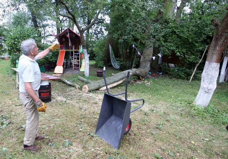 Wiatr powalił drzewo na ul. Przestrzennej