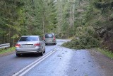 Zakopane. Halny daje się we znaki. Już 15 interwencji straży pożarnej [ZDJĘCIA]