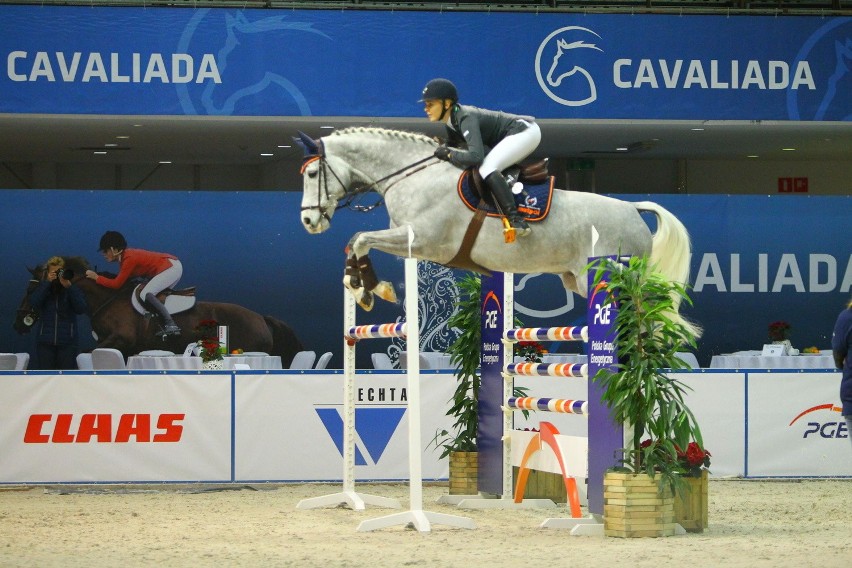 Cavaliada 2014