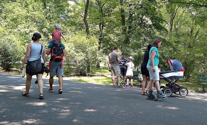 Piknik Krakowski w Parku Bednarskiego [ZDJĘCIA]