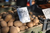 Coraz mniej rolników w Polsce uprawia ziemniaki. Za kilogram możemy płacić coraz więcej. Ceny na targowiskach i w skupie