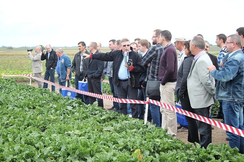 Plantatorzy buraka cukrowego przyjechali na warsztaty polowe [wideo, zdjęcia]