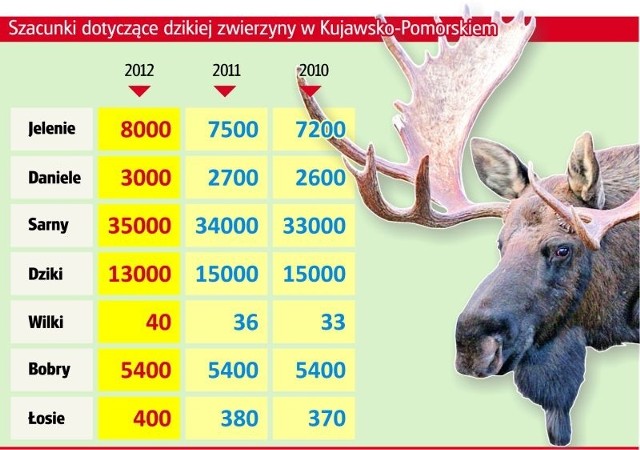 Na Kujawach i Pomorzu przybywa danieli i jeleni.