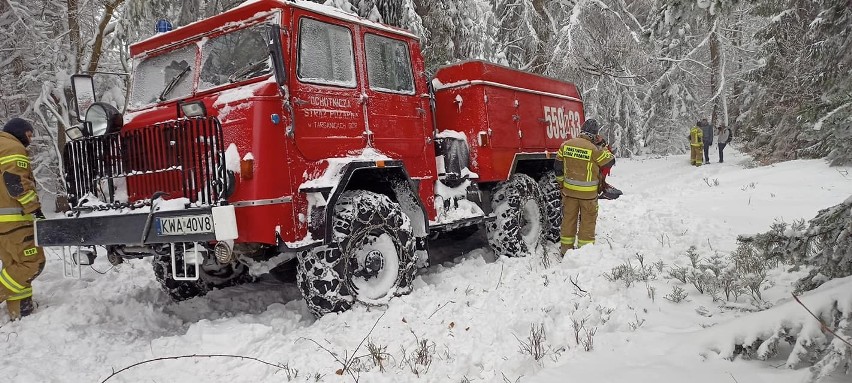 Turystka spacerująca w okolicy Potrójnej natknęła się na...