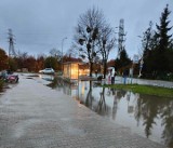 Jezioro wokół przystanku MPK na wrocławskich Maślicach. Miasto interweniowało, a woda nadal zalewę wiatę. Będzie poprawka?