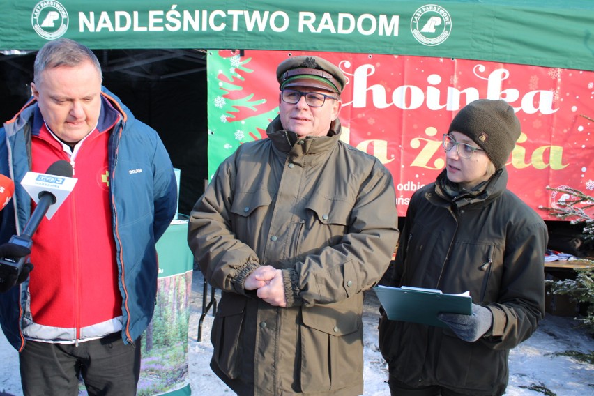 Akcja „Choinka dla życia” w Radomiu. Świąteczne drzewka trafiły do krwiodawców. Zobaczcie zdjęcia