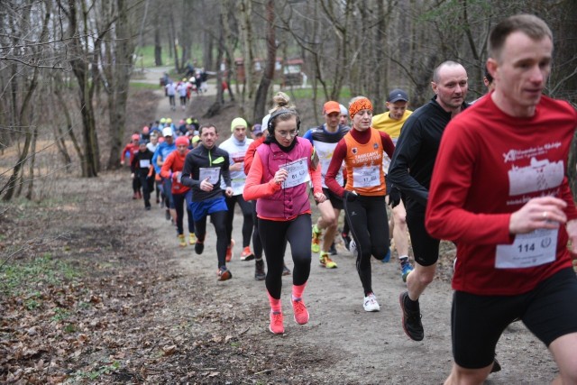 W sobotę 7 marca w lasku przy ulicy Bema odbył się kolejny z tegorocznych biegów z cyklu Top Cross Torunia. Dorośli rywalizowali na dystansie 6666 m, dzieci na krótszych trasach. Zobaczcie zdjęcia z rywalizacji.