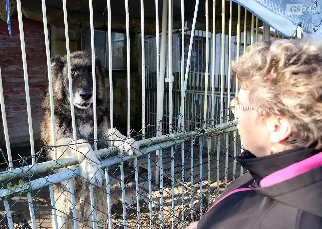 Paker przy ul. Zakładowej mieszka od 9 lat. Jego właściciele nie chcą się z nim rozstać i przenosić w inne miejsce, chociaż taka jest decyzja sądu