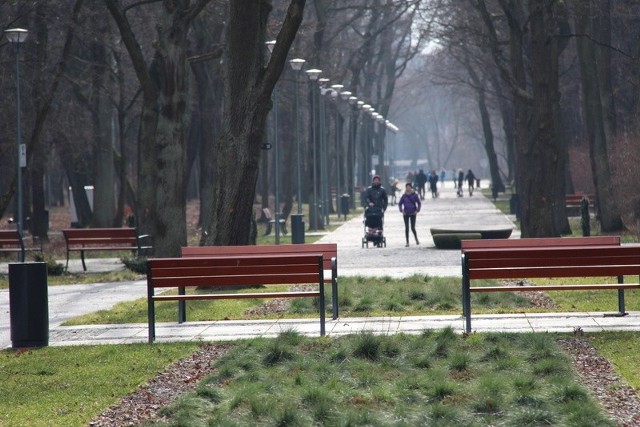 Park Zielona w Dąbrowie Górniczej zachęca do spacerów o każdej porze roku