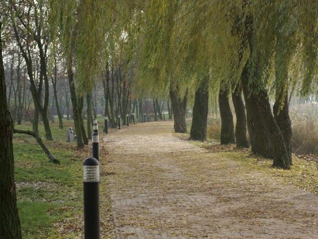 Im więcej zieleni, tym lepiej