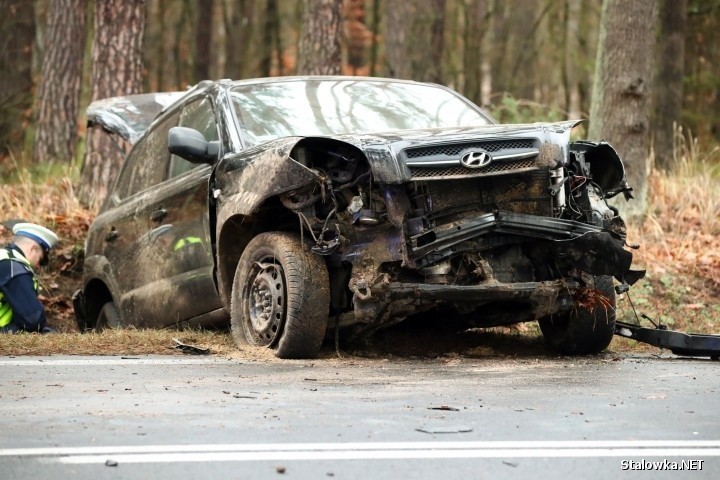 Kolejny wypadek na zakręcie śmierci w Stalowej Woli, na drodze wojewódzkiej 871 (ZDJĘCIA)