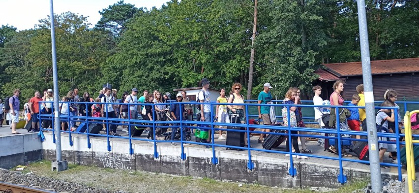 Pociąg marzeń dojechał do Jastarni. Zobacz, jak wypoczywają podopieczni Drogi