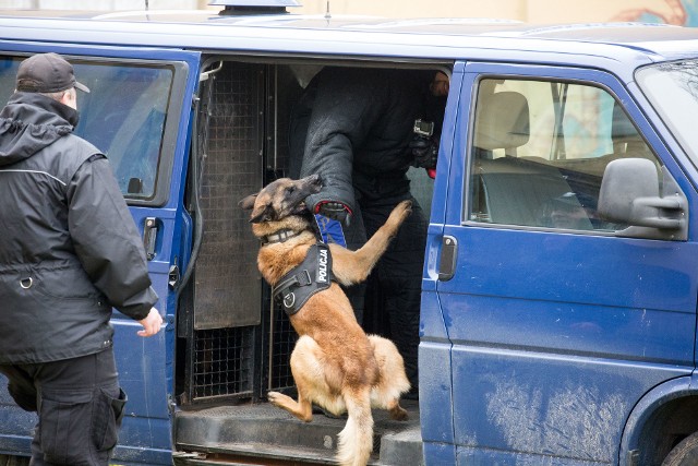 W szkoleniu wzięły udział psy ze specjalizacją patrolowo-tropiący (wykorzystywane w codziennej służbie patrolowej i przy tropieniu śladów przestępców) oraz do wyszukiwania zapachów.