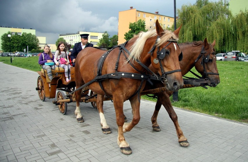 Wiosenny Festyn Rodzinny na Łęgach (ZDJĘCIA)