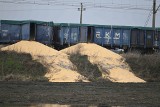 Nieznani sprawcy wysypali kukurydzę z wagonów kolejowych w naszym regionie
