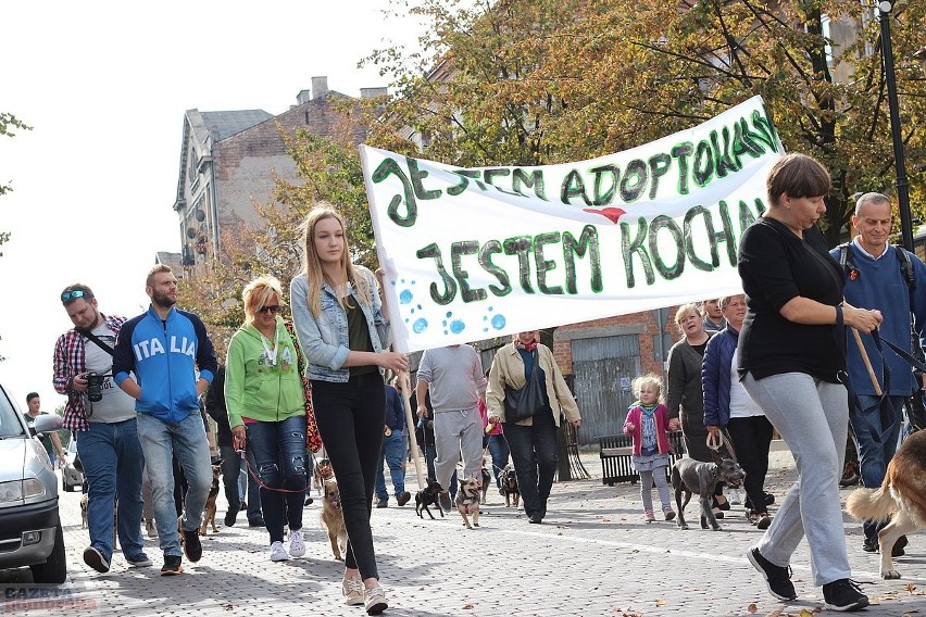 Pięćdziesięciu właścicieli psów oraz wolontariuszy ze...