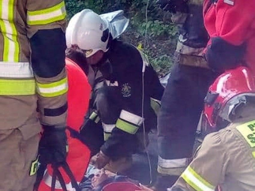 Powiat stargardzki. Kierowca renault clio uderzył w drzewo. Dwie osoby w szpitalu [ZDJĘCIA]