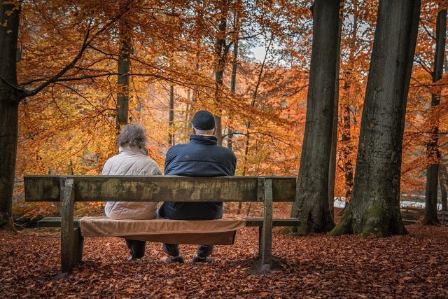 Ile pieniędzy zwróci Ci fiskus? Sprawdź w galerii. Zobacz kolejne plansze. Przesuwaj je w prawo - naciśnij strzałkę lub przycisk NASTĘPNE