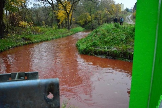 Pod koniec października Dzierżęcinka zabarwiła się na czerwono