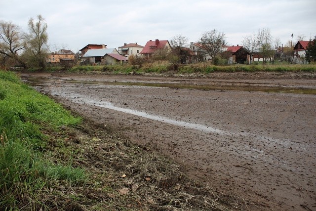 Tak wyglądało koryto Rudni koło młyna po spuszczeniu wody.