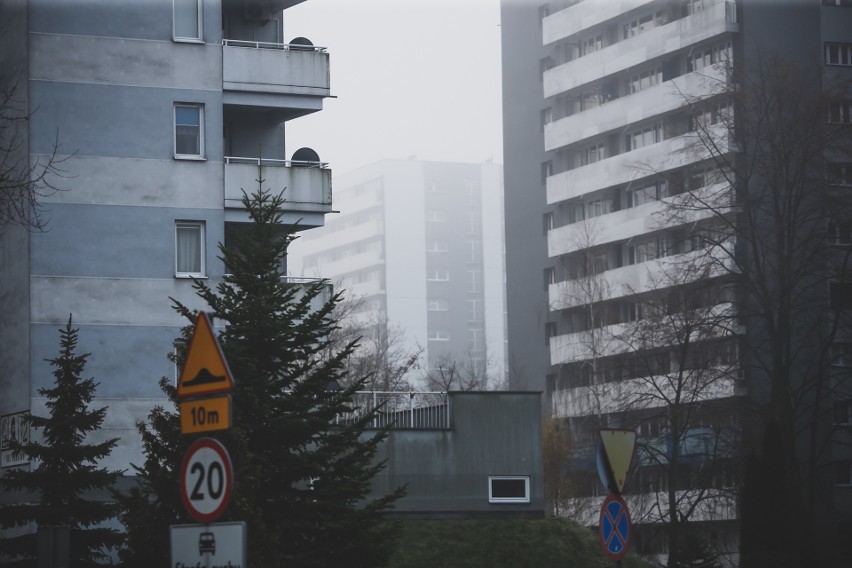 Tauzen we mgle: Kukurydze, Maroko, Nowe Tysiąclecie. Zobaczcie największe osiedle w regionie w obiektywie Marzeny Bugały, fotoreporterki DZ