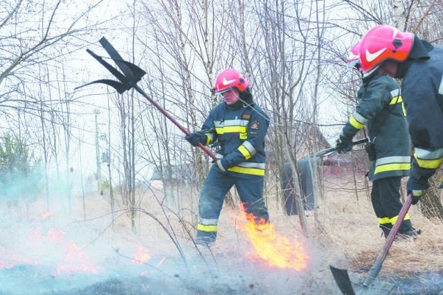 Tylko w ciągu jednej doby białostoccy strażacy wyjeżdżali do płonących roślin kilkadziesiąt razy. Może być gorzej, bo to dopiero pierwsze tak ciepłe dni.
