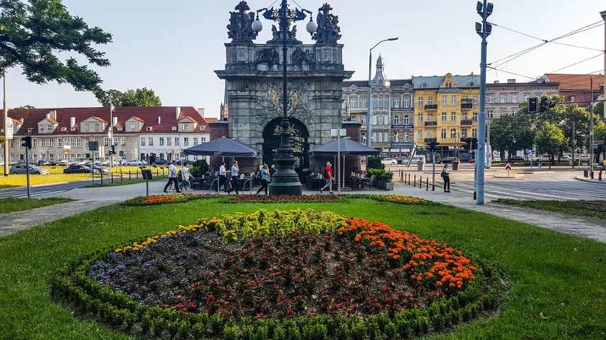 Dziesiątki tysięcy kwiatów na ulicach Szczecina. Jest kolorowo! 