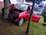 Nawojowa wypadek. Samochód osobowy uderzył w drzewo. Kierowca trafił do szpitala [ZDJĘCIA]