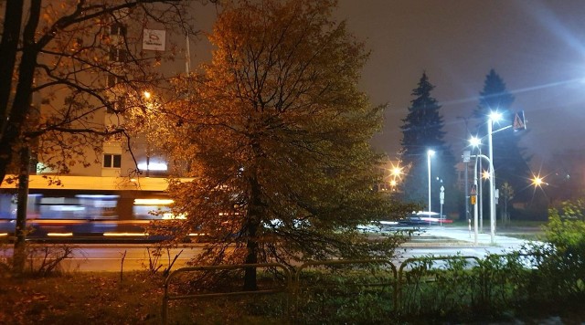 Do tej pory w Bydgoszczy doświetlono 50 przejść. W tym roku doświetlonych zostanie 19 kolejnych.