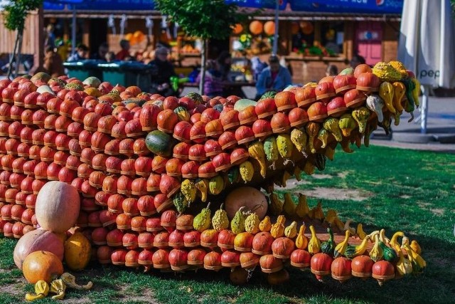 Odwiedzający Deli Park w Trzebawiu wciąż mogą korzystać z atrakcji dyniowych. Dekoracje będą dostępne jeszcze w najbliższy weekend, 19 i 20 października w godzinach od 10 do 18