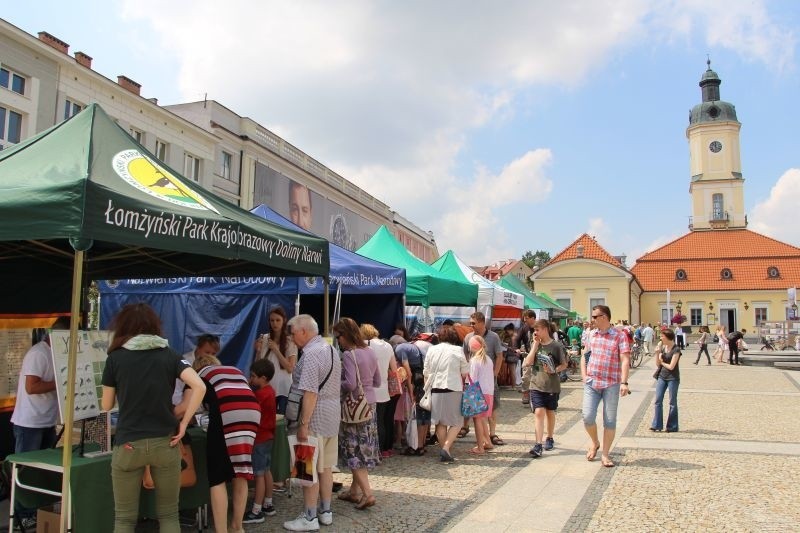 Piknik Ekologiczny na Rynku Kościuszki (zdjęcia, wideo)