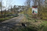 Zagrożenie pożarowe w lasach i susza na polach. Rolnicy i leśnicy czekają na deszcz