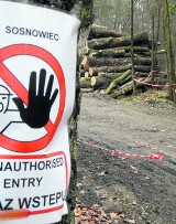 Sosnowiec: Park w Kazimierzu ma być parkiem, a nie składowiskiem