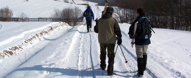 W Bieszczady zimą przyjeżdżają nie tylko amatorzy narciarskich zjazdów, ale coraz częściej także turyści z nartami biegowymi i śladowymi. Taki spacer w noworoczny poranek to czysta przyjemność. A meteorolodzy zapowiadają na sylwestra siarczysty mróz