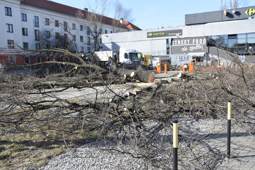 Na placu przy Grunwaldzkiej 67 wycięto dziś 7 drzew