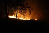 Płonął las wokół stacji - podpalenie, czy nieostrożność?