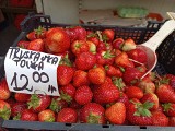 Ile kosztują truskawki na Śląsku? Ceny są wyższe niż w ubiegłych latach. Jak prezentują się ceny w Katowicach? Sprawdź!