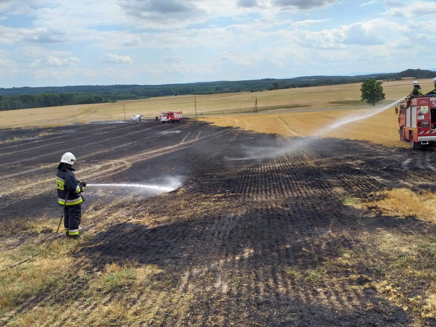 Potężny pożar zboża. Spłonęło 12 hektarów [ZDJĘCIA]