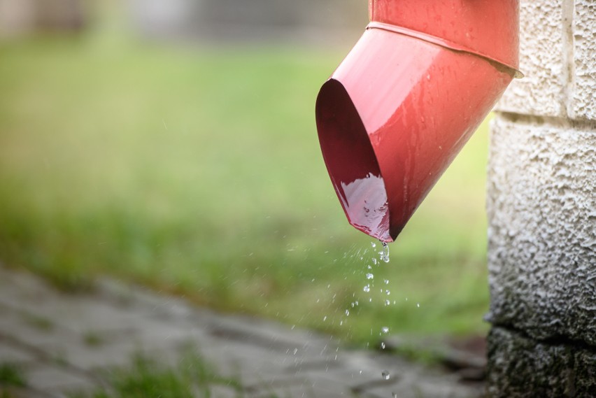 Jak otrzymać dotację na wodę deszczową? Program „Beczka plus” oferuje nawet 10 tys. zł dofinansowania, nie tylko na zbiornik deszczówki