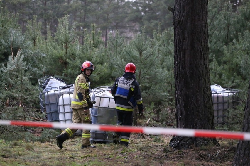 W Bolewicku, w lesie znaleziono 7 wyrzuconych pojemników....